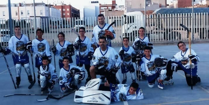 Competiciones hockey en línea